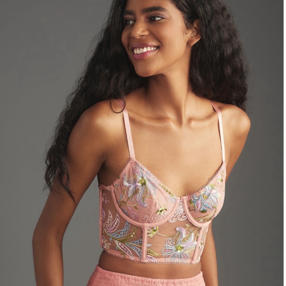Anthropologie Embroidered Mesh Corset Top, New with Tags